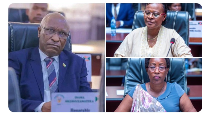 Image d'illustration pour: Burundi : un nouveau gouvernement et un Sénat renouvelé