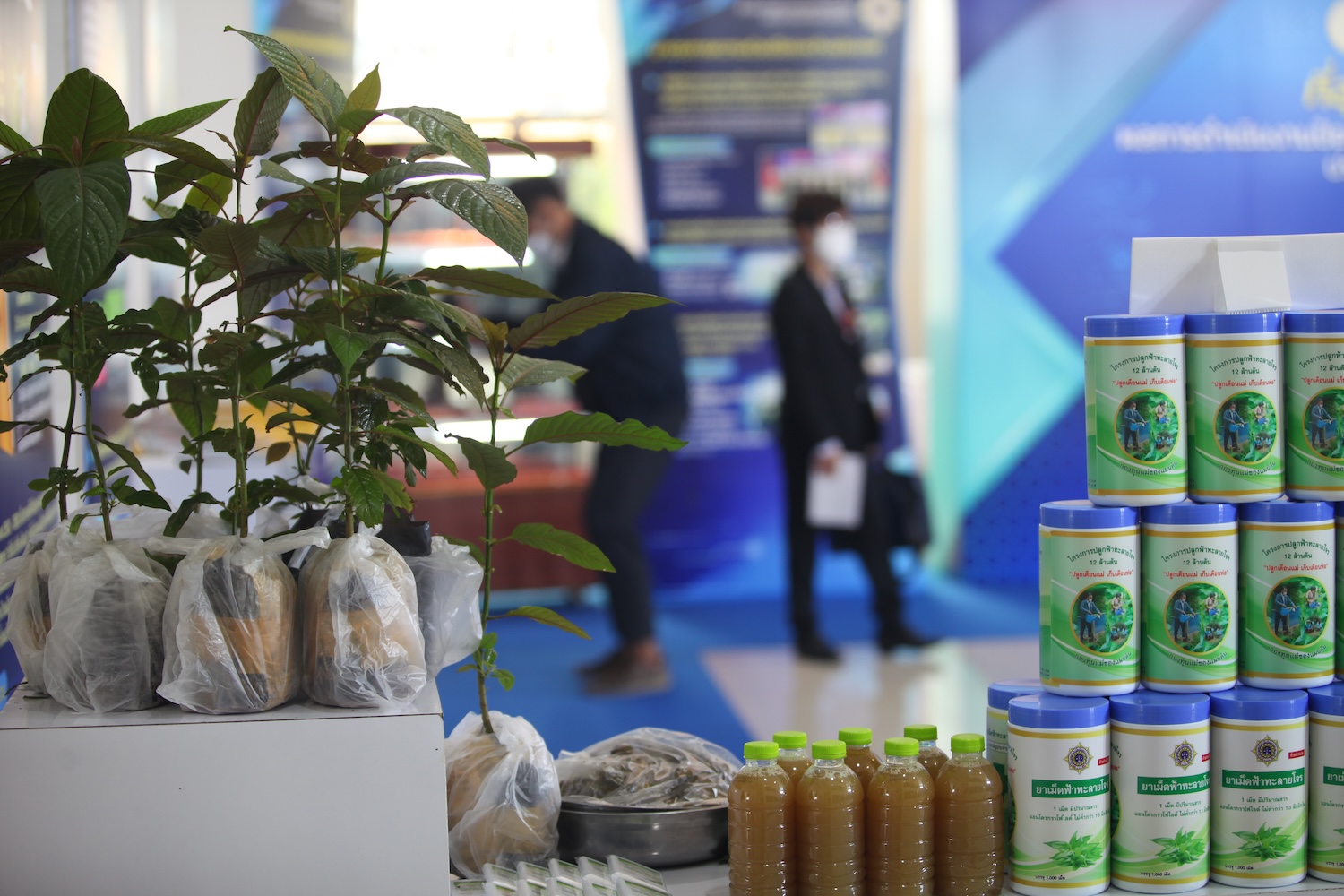 Image d'illustration pour: Kratom Brokers Launches Industry-First Turnkey Solutions to Simplify Entry into the Booming Kratom Market