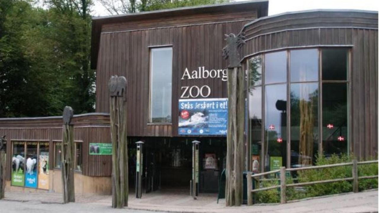 Image d'illustration pour: Danish zoo wants your unwanted pets for predator meals