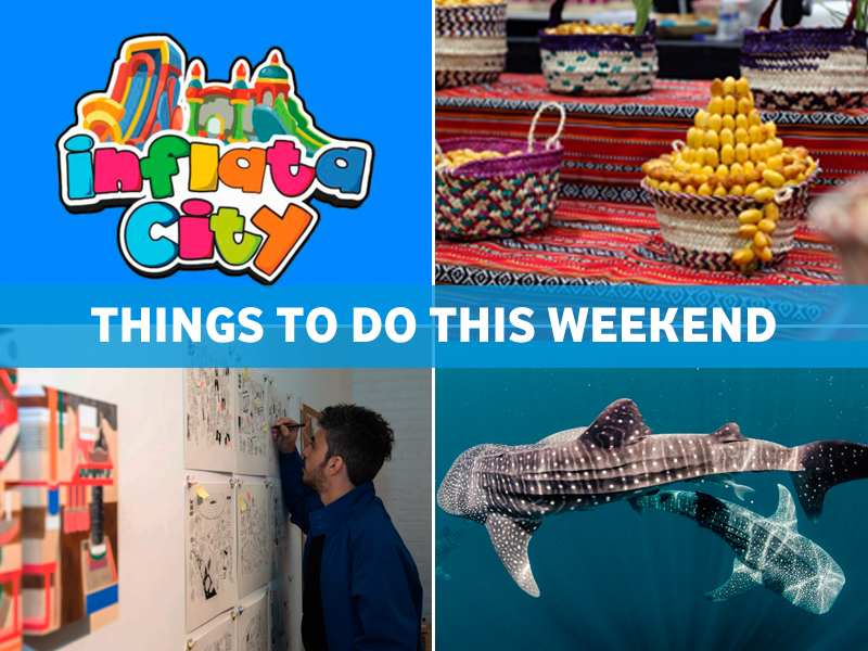 Image d'illustration pour: Things to do this weekend in Qatar (August 7-9, 2025)