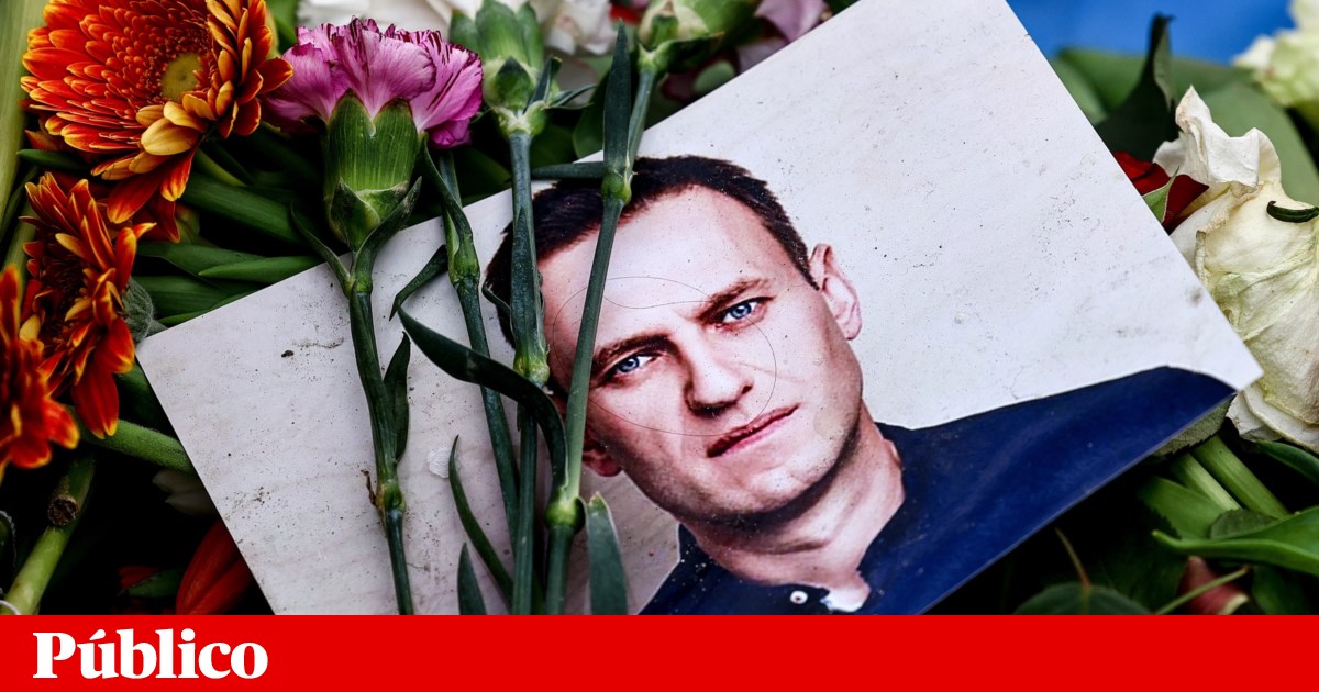 Image d'illustration pour: Câmara de Lisboa perde recurso e volta a ser condenada por partilha de dados no caso <em>Russiagate</em>