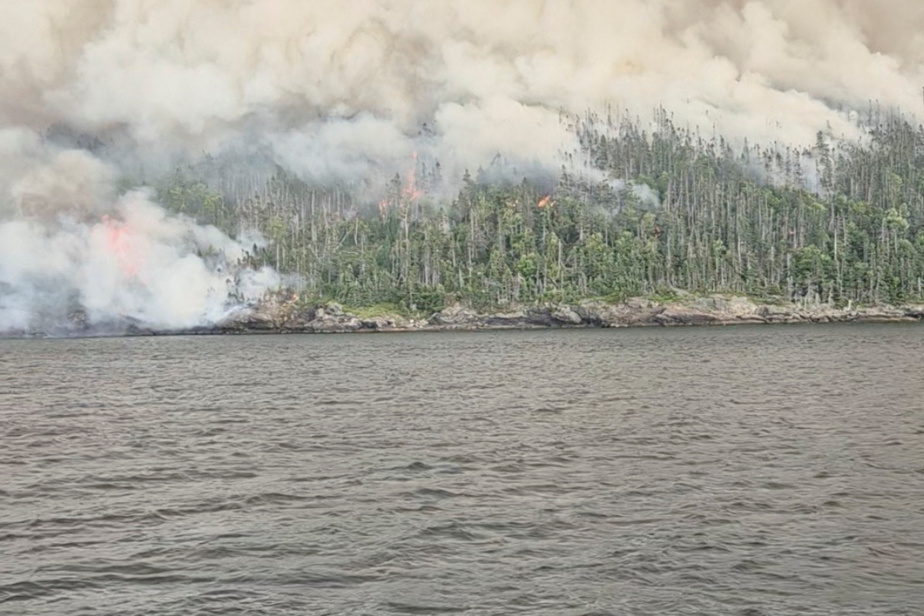 Image d'illustration pour: Terre-Neuve-et-Labrador | Plusieurs incendies de forêt incontrôlés font toujours rage
