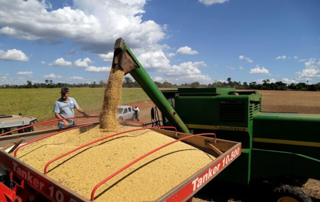 Image d'illustration pour: Bolivia en números: crece la producción agrícola, pero caen reservas y aumenta el desempleo urbano