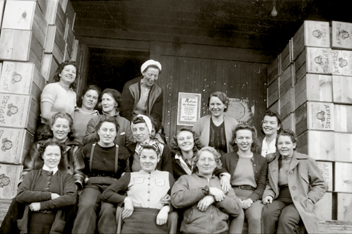 Image d'illustration pour: Song tells story of women in Okanagan orchard work