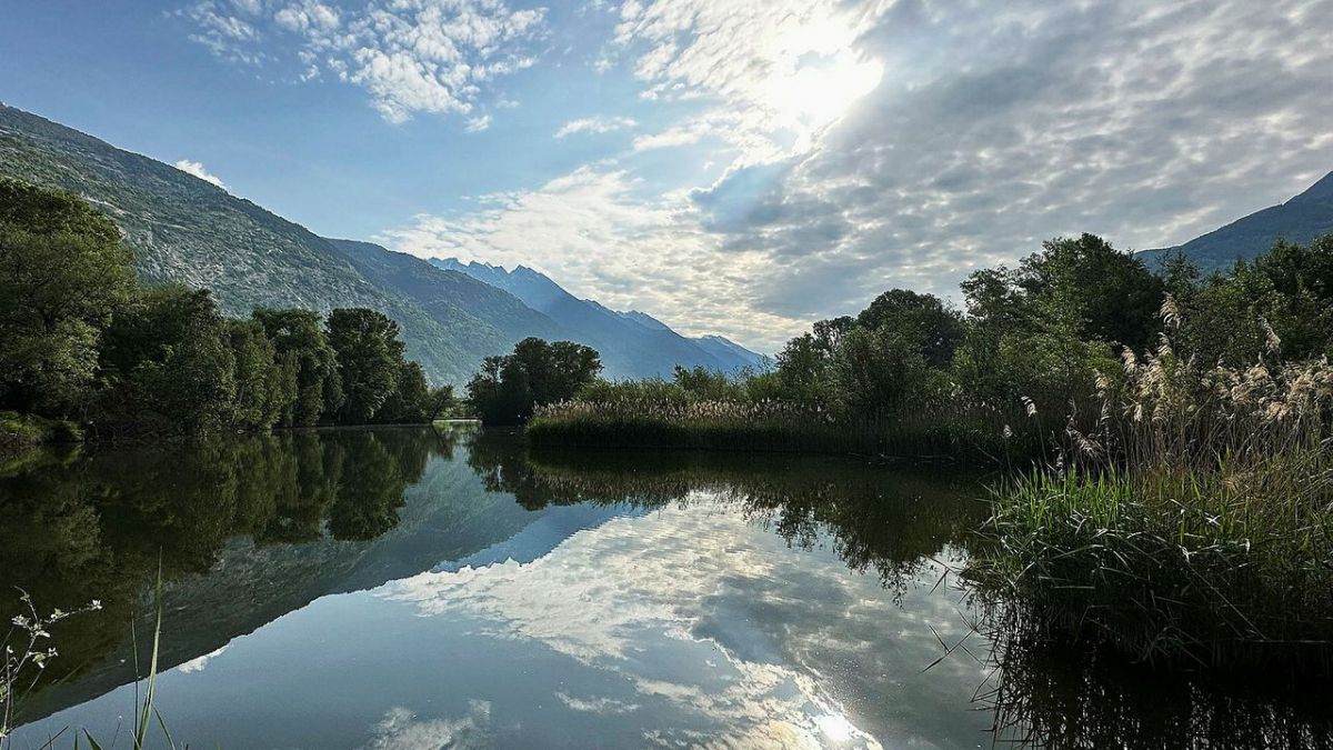 Image d'illustration pour: "Schweizer Naturpark "Pfyn-Finges" - Rendez-vous im Park" bei 3sat im Livestream und TV: Folge 1 aus der 2. Staffel der Dokureihe