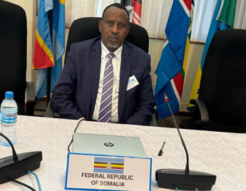 Image d'illustration pour: Somalia Participates in EAC Steering Committee Meeting to Guide Regional Development
