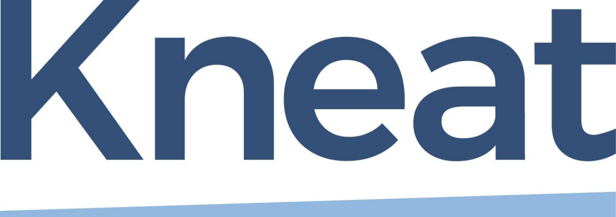 Image d'illustration pour: Global Medical Technology Leader Selects Kneat