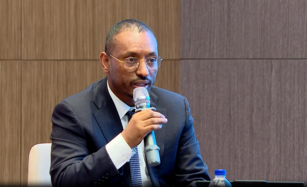 Image d'illustration pour: Macroeconomic Reform Boosts FX Earnings of Ethiopian Electric Power