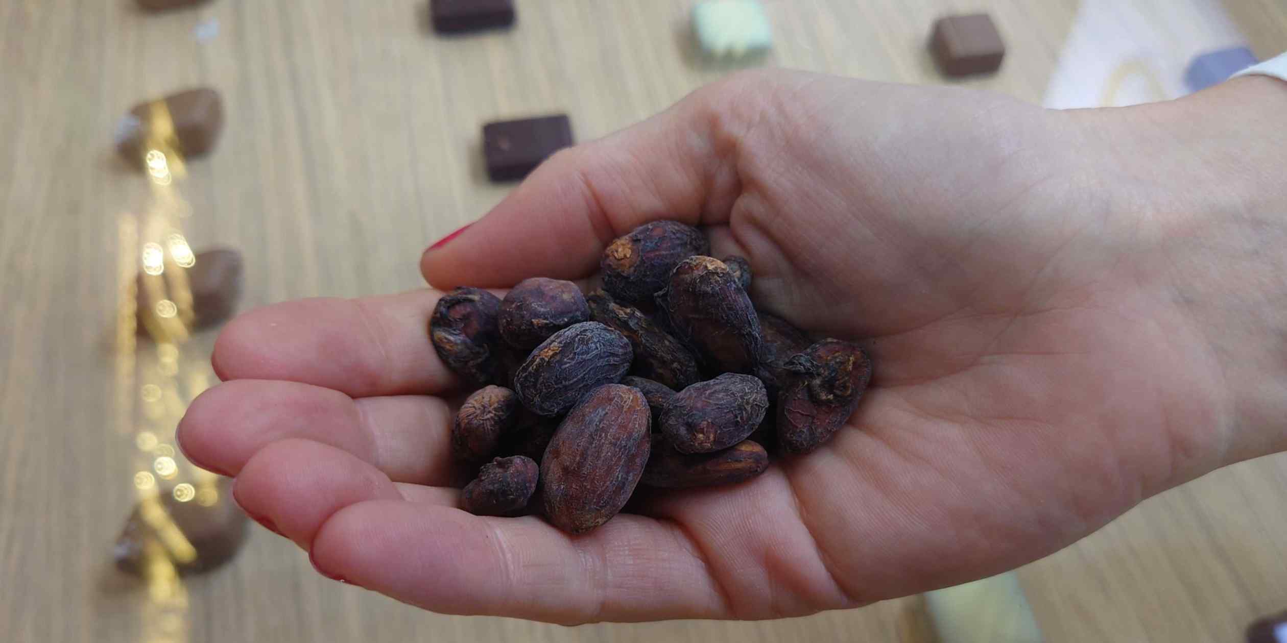 Image d'illustration pour: Indonesia cocoa crunch stuns chocolate makers in Asia