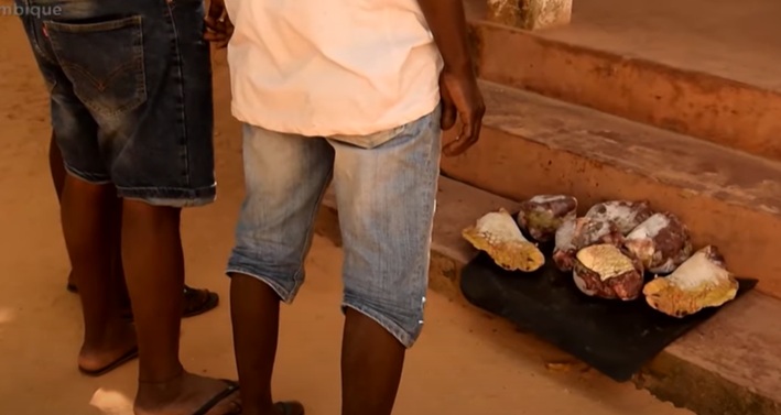 Image d'illustration pour: Mozambique: Three arrested in Pemba over 10 kg of sea turtle meat - Watch