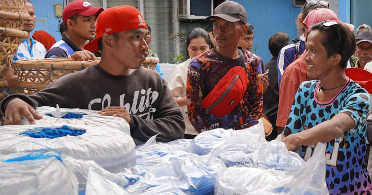 Image d'illustration pour: BFAR distributes P11.6-M seaweed farm inputs in Zamboanga City