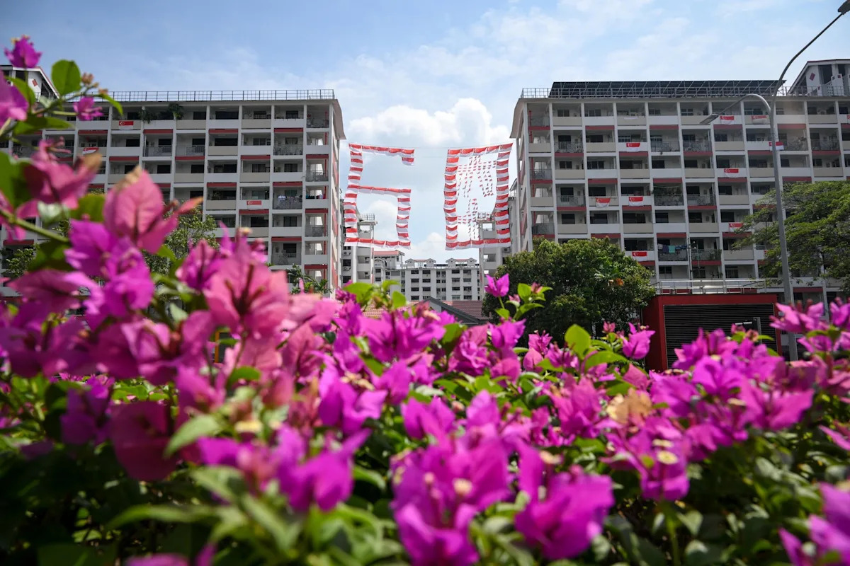 Image d'illustration pour: 'This is home', as retired shop owner puts up 11th flag display in Toa Payoh to mark SG60