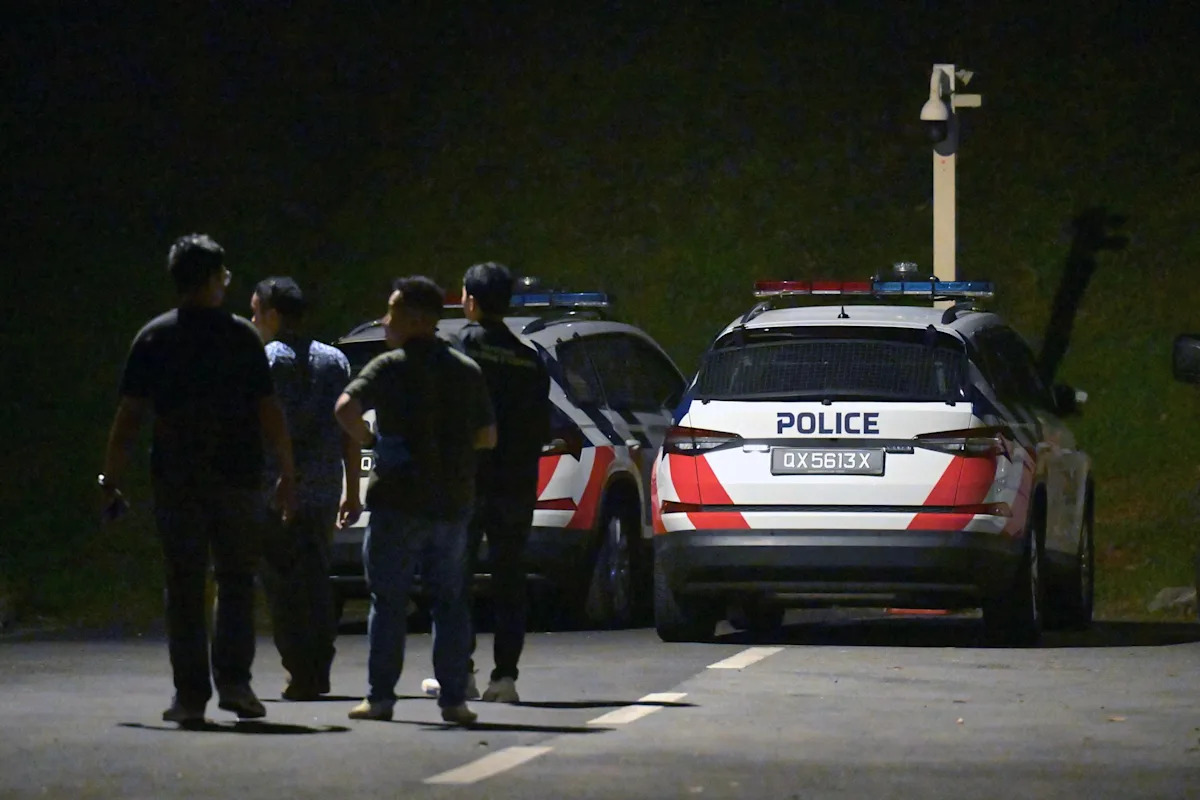 Image d'illustration pour: Police search operation spotted in forested area near Greenleaf Place in Bukit Timah