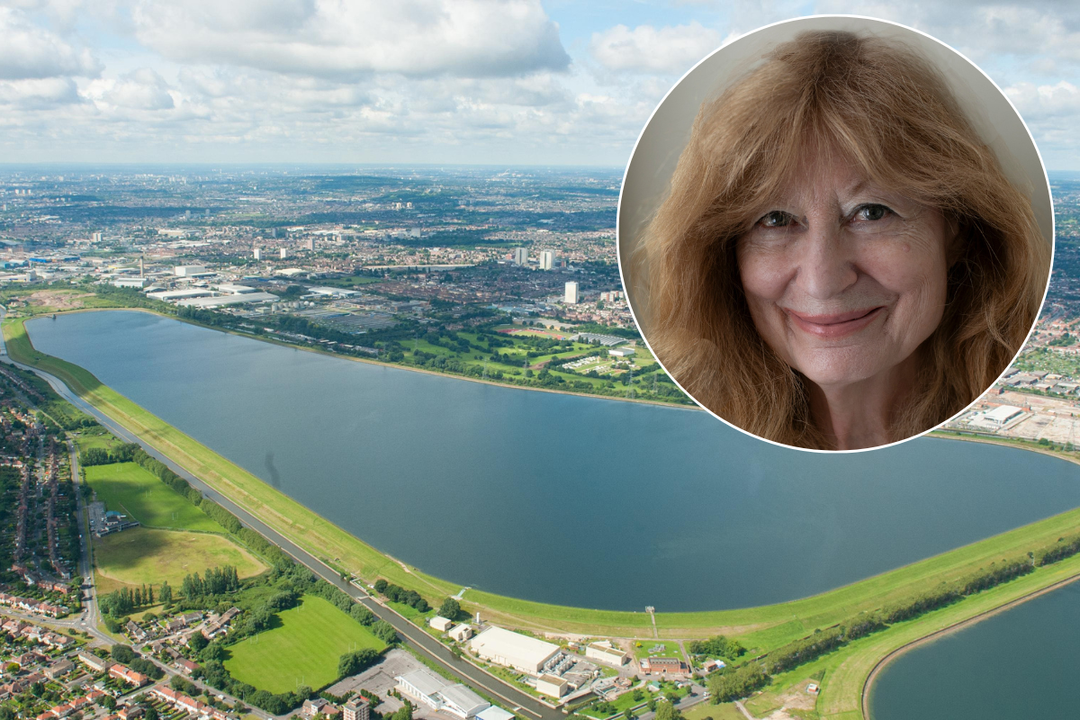 Image d'illustration pour: 'Solar panels on reservoirs could save us all money - including the NHS'
