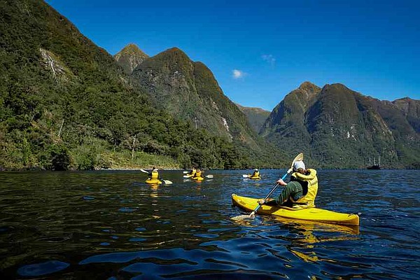 Image d'illustration pour: Penguins, stars, silence cruising New Zealand's Doubtful Sound | Jefferson City News-Tribune