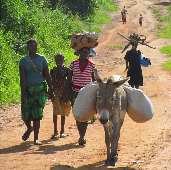 Image d'illustration pour: Mozambico: Save the Children, a causa dei pesanti combattimenti nel nord del Paese oltre 30.000 bambini sfollati - politicamentecorretto.com