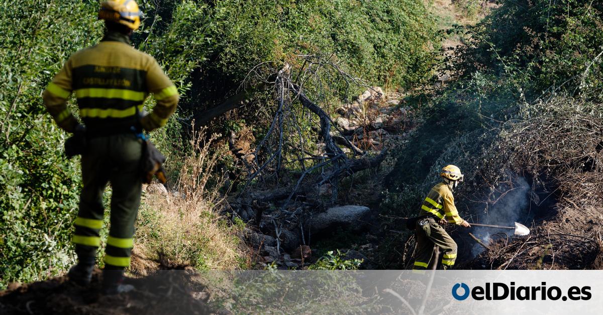 Image d'illustration pour: El incendio de Ávila afecta a cerca de tres kilómetros de la vía del tren que une con Madrid