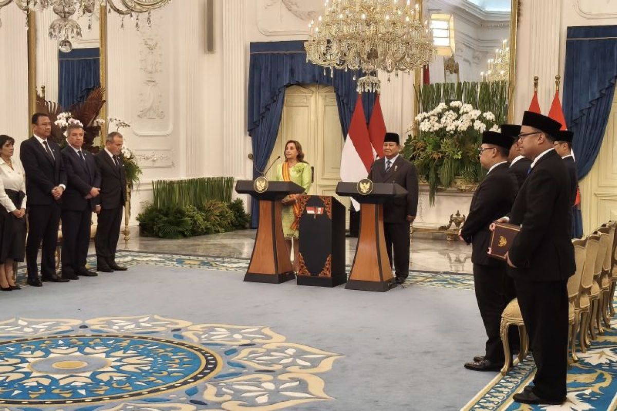 Image d'illustration pour: Indonesia, Peru issue joint declaration on 50 years of cooperation