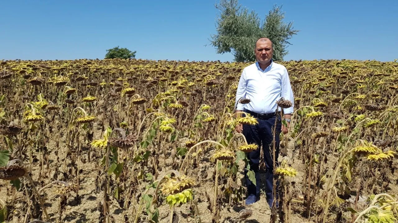 Image d'illustration pour: CHP Tekirdağ Milletvekili Aygun'dan kuraklık için yasa teklifi