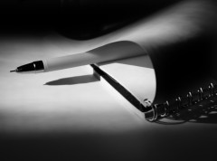 Image d'illustration pour: Sedam decenija od smrti Tomasa Mana