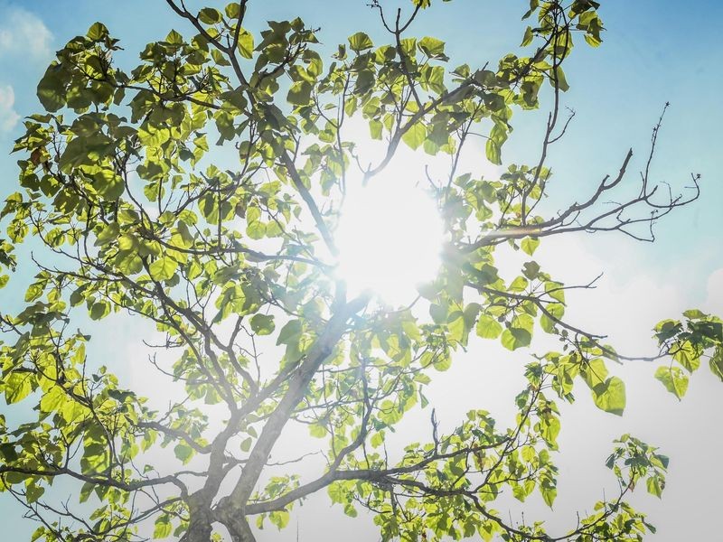 Image d'illustration pour: Hitzewelle in Essen: "Der Hochsommer ist wieder voll zurück"