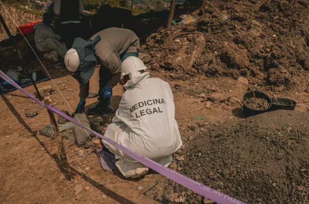 Image d'illustration pour: Comuneros del Sur y la UBPD descubren fosas comunes en Nariño con posible paradero de desaparecidos - HSB NOTICIAS