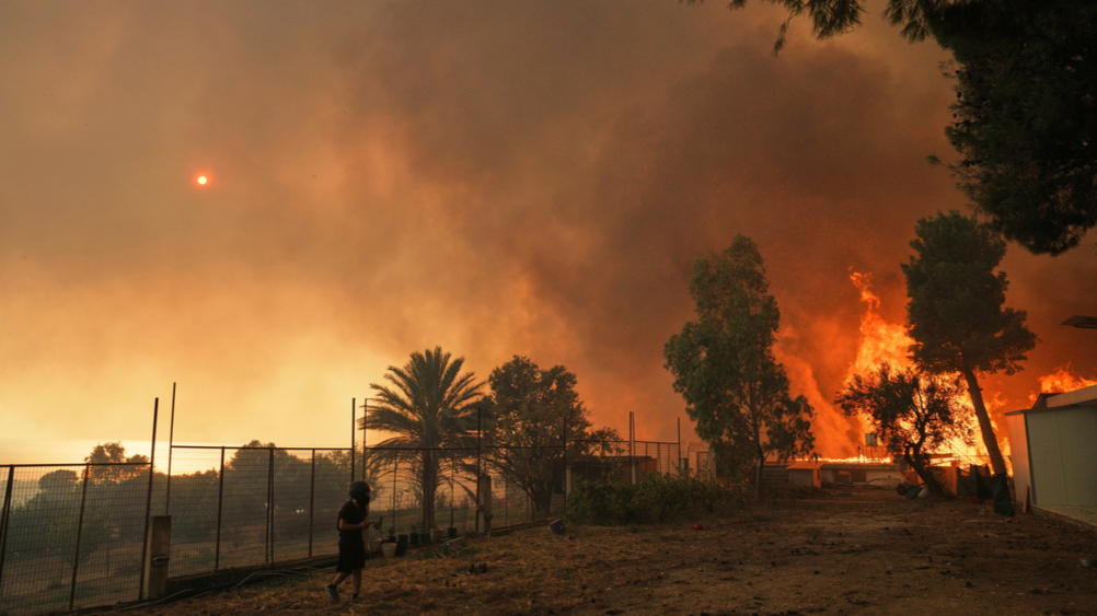 Image d'illustration pour: Wildfires fanned by heatwave and strong winds rage across Europe