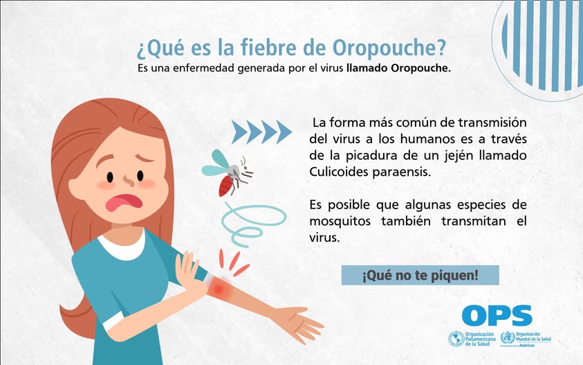 Image d'illustration pour: OPS alerta: Panamá y Brasil con más casos de fiebre Oropouche