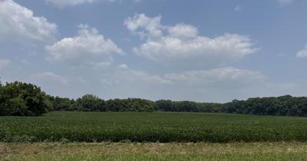 Image d'illustration pour: Danville solar project gets pulled from city council agenda