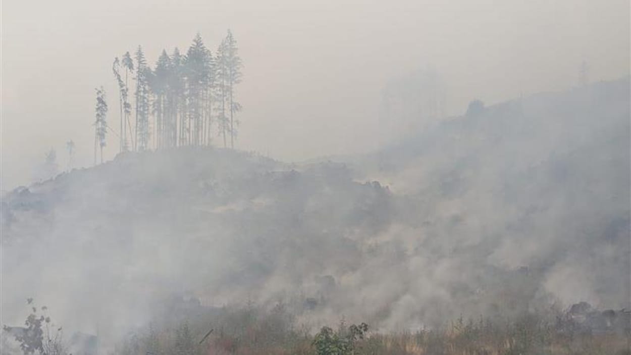 Image d'illustration pour: La pluie apporte du répit sur le feu du mont Underwood