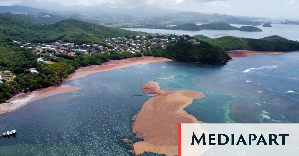 Image d'illustration pour: En Martinique, les recours en justice se multiplient pour une meilleure gestion de la crise des sargasses