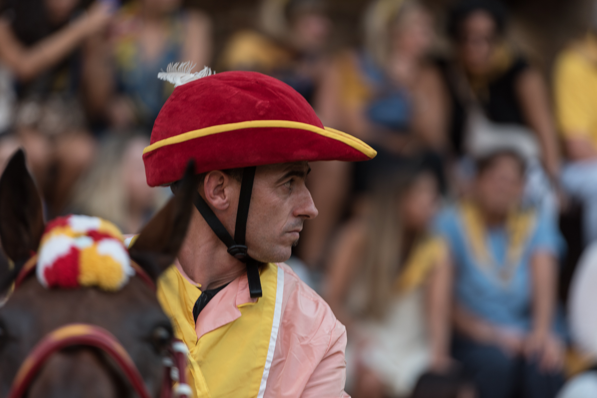 Image d'illustration pour: Valdimontone vince il Palio dell'Assunta! | Il Cittadino Online