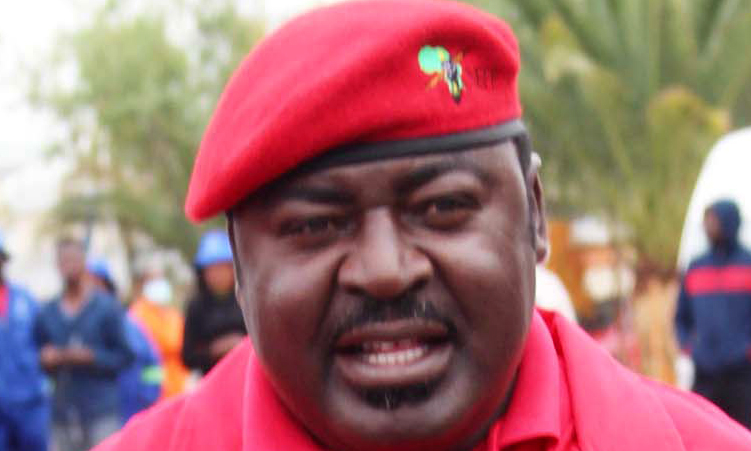 Image d'illustration pour: NEFF president Mukwiilongo denies assaulting party secretary general