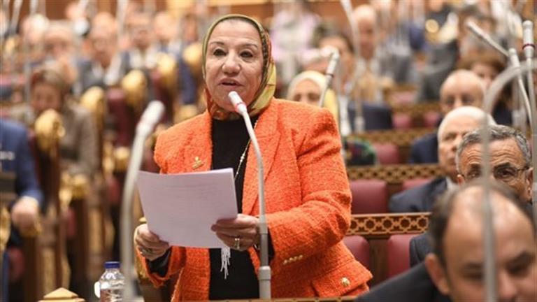 Image d'illustration pour: نائبة بالشيوخ : مصر قوية وتتعامل بالمثل في علاقاتها الدولية