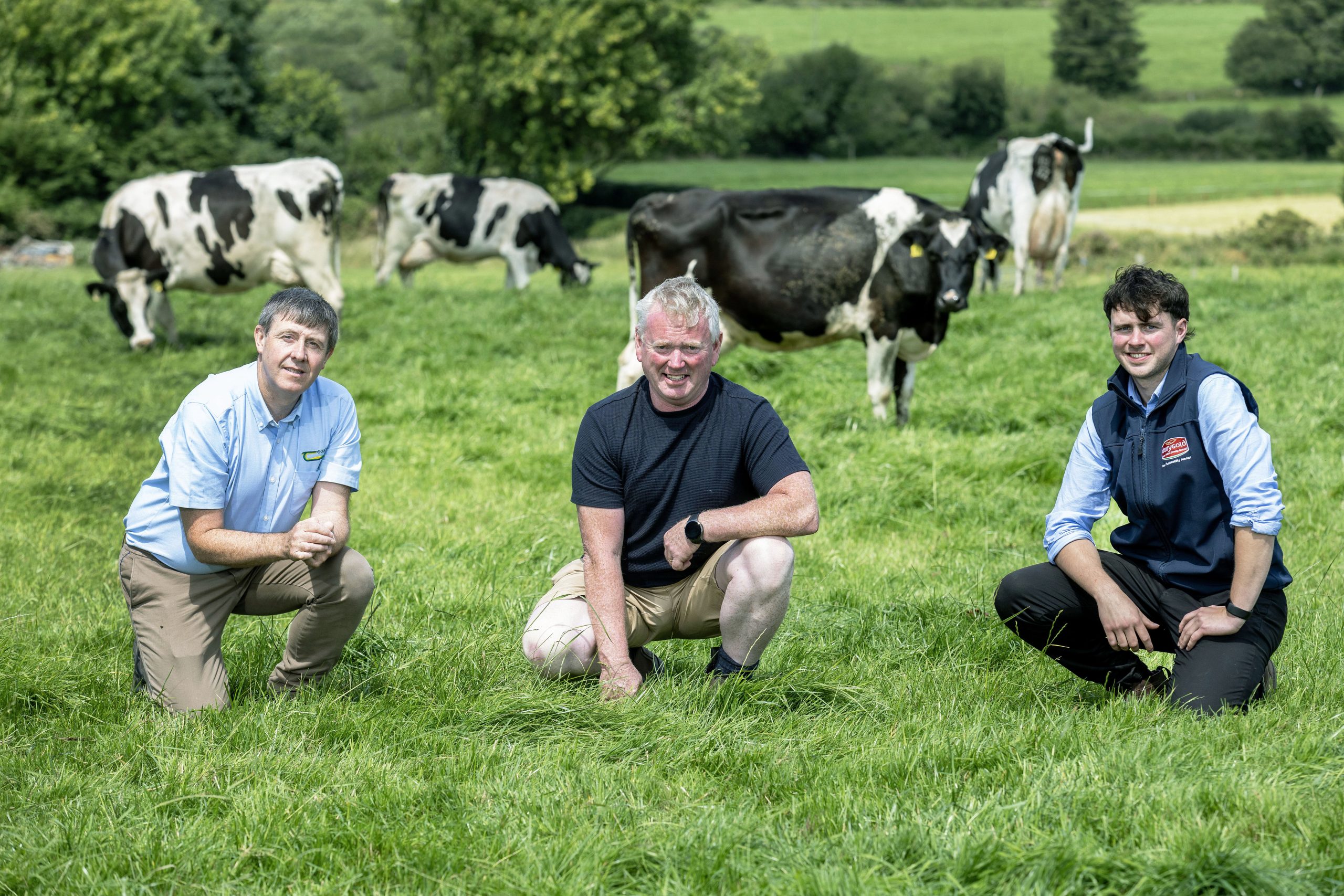 Image d'illustration pour: Find out about a Co. Cork farmer's winning approach with Dairygold and AgNav