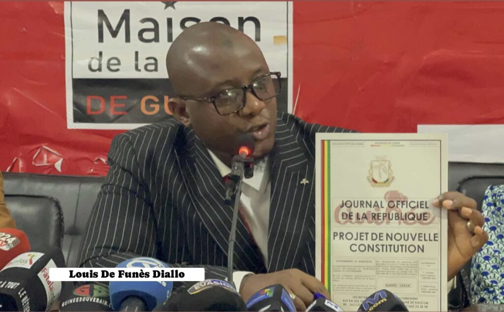 Image d'illustration pour: GUINEE- Élection référendaire : le MPL appelle à voter OUI pour consacrer les candidatures indépendantes
