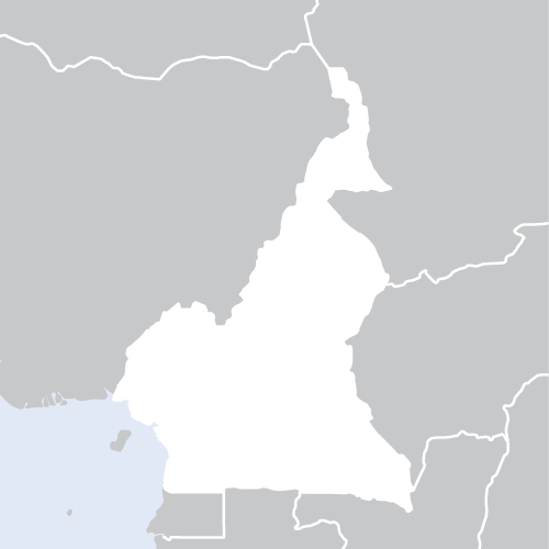 Image d'illustration pour: Cameroon: Restrictions on civic space risk undermining presidential election, Türk warns - Cameroon