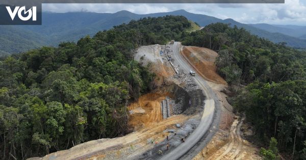 Image d'illustration pour: Jalan Trans Papua 50,14 Km Mulai Dikerjakan, Biaya Investasi Capai Rp3,3 Triliun