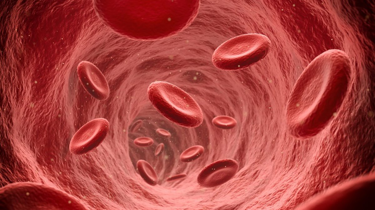Image d'illustration pour: El bypass 'sin tocar' reduce infartos y alarga la vida de los...
