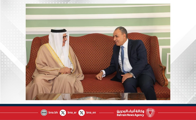 Image d'illustration pour: Foreign Minister meets Egyptian counterpart