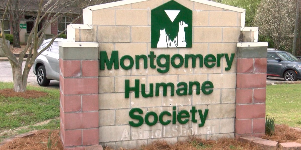 Image d'illustration pour: Montgomery Humane Society holding dog adoption special to make room for remodel