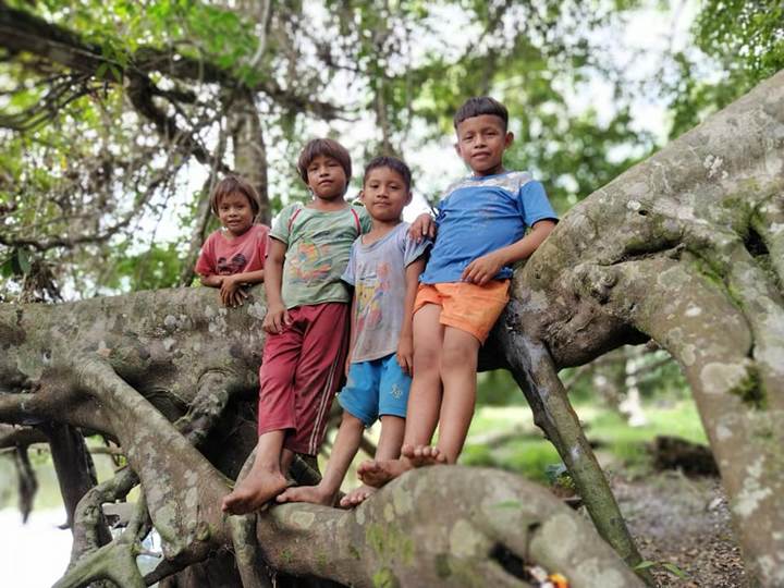 Image d'illustration pour: Nouveau Projet-Partage en Amazonie péruvienne - ZENIT - Français