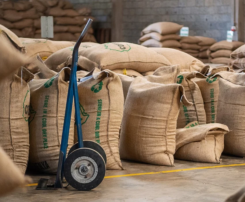 Image d'illustration pour: 5 Dealers Dominate Nairobi Coffee Exchange