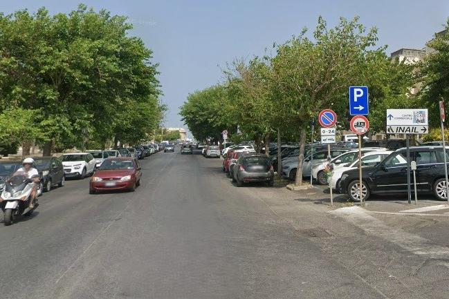 Image d'illustration pour: Via all'abbattimento di quattro alberi