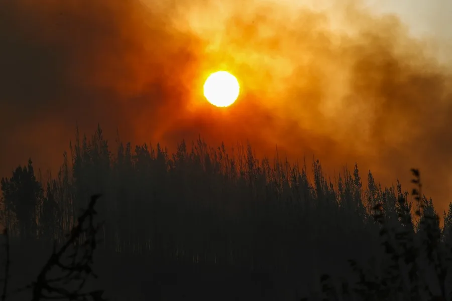 Image d'illustration pour: El PSOE presenta una moción en el Senado sobre el pacto frente a la emergencia climática - EFE