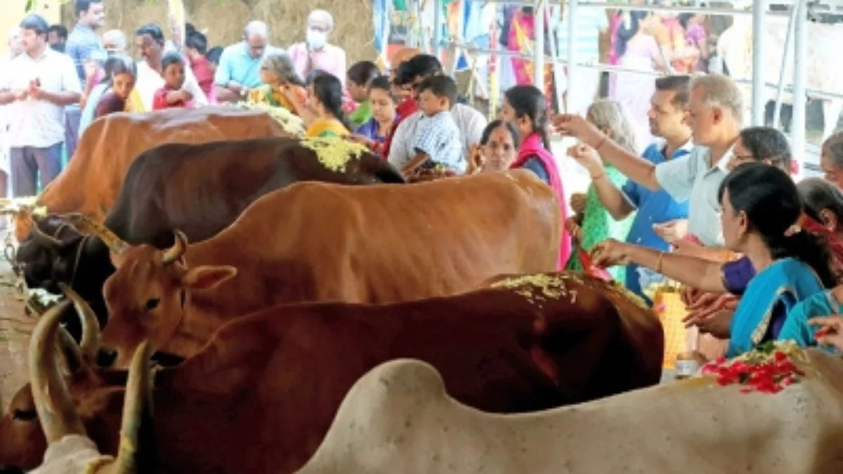 Image d'illustration pour: Major GST reductions to boost cooperatives, farmers, and rural enterprises - The Statesman