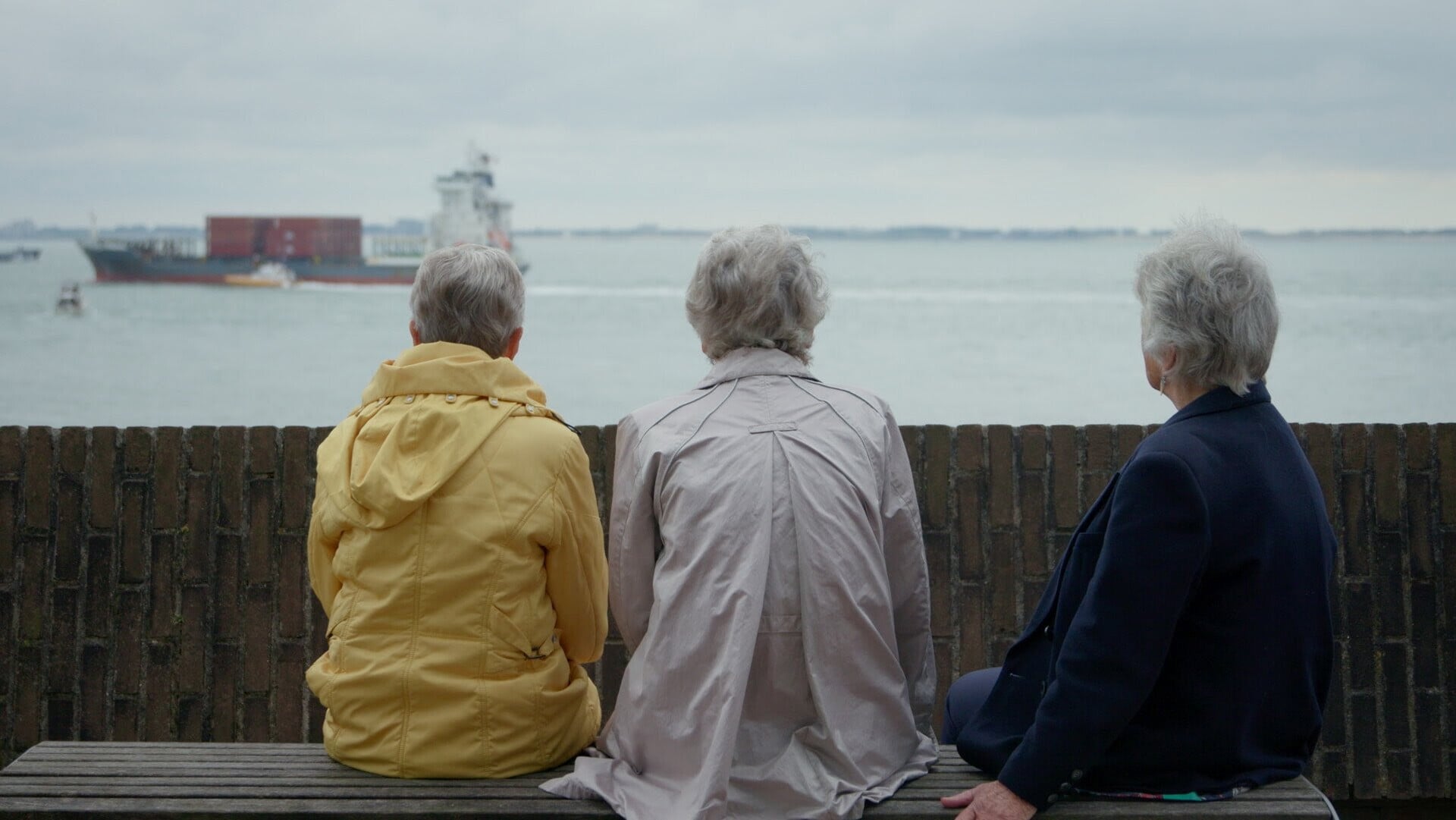 Image d'illustration pour: 27e editie Film by the Sea begint vrijdag: 'Nooit werden zoveel films ingezonden voor Zeeuws Licht'