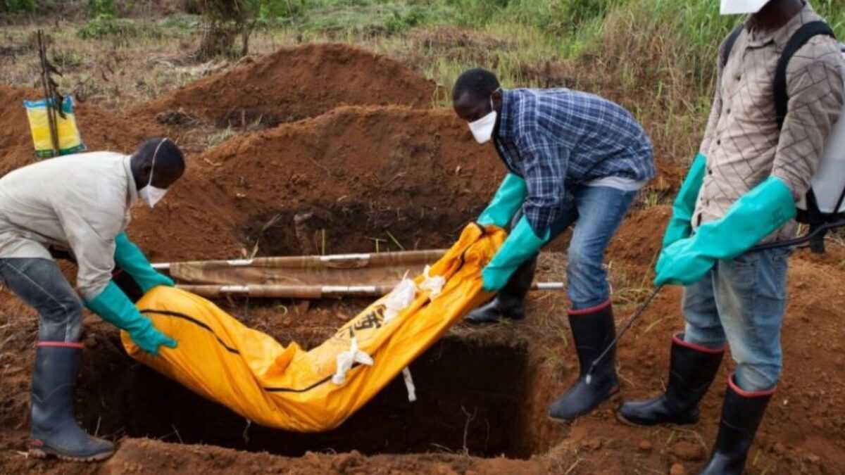 Image d'illustration pour: Ebola au Kasaï : une nouvelle alerte dans une RDC déjà aguerrie