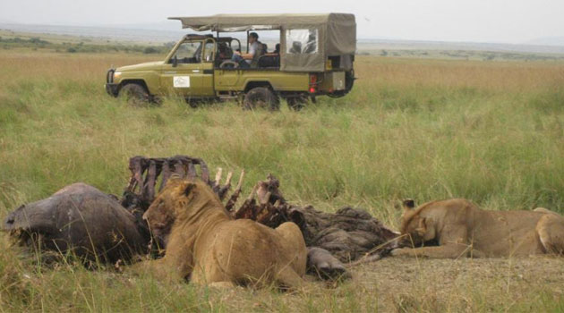 Image d'illustration pour: Kenya revokes licenses of four tour operators in crackdown on rogue firms