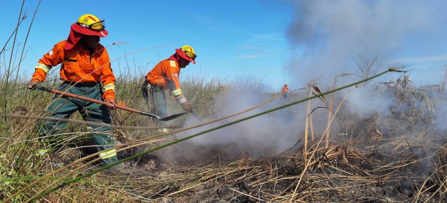 Image d'illustration pour: Bolivia confirma control total de incendios forestales en todo el país